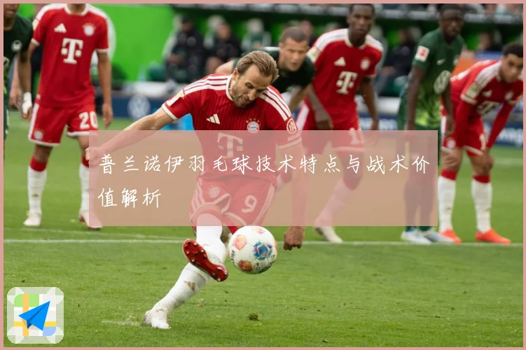 普兰诺伊羽毛球技术特点与战术价值解析