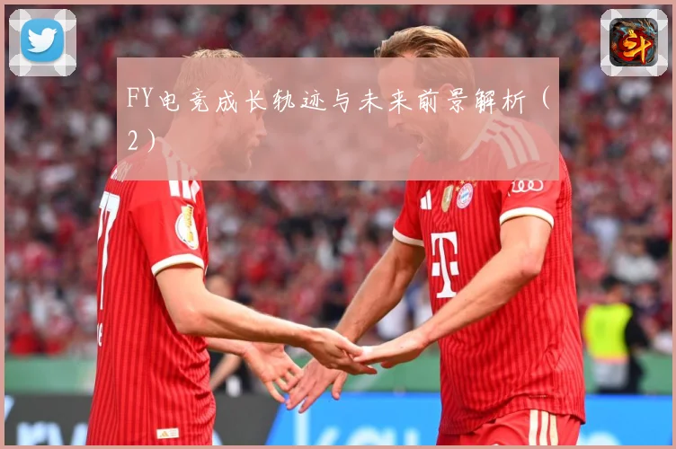 FY电竞成长轨迹与未来前景解析（2）