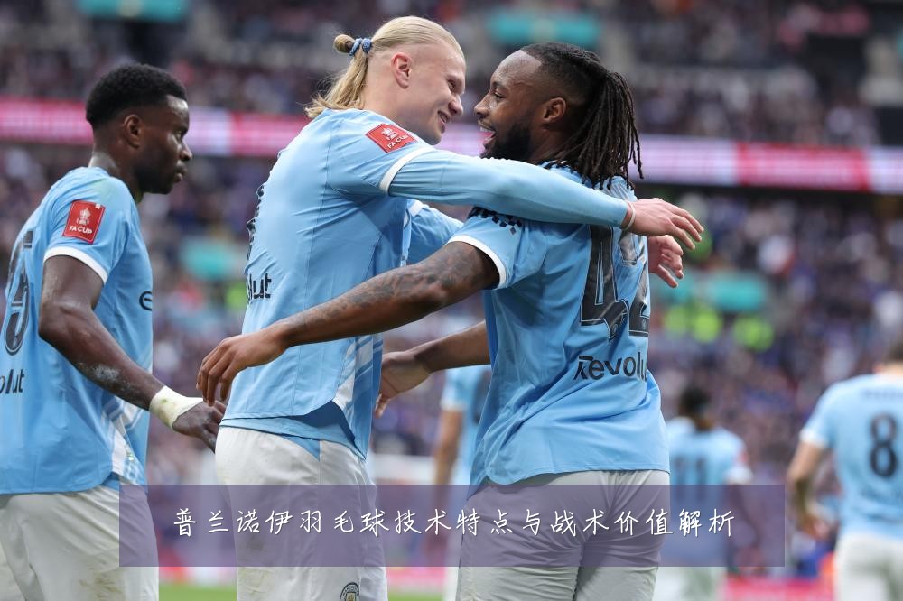 普兰诺伊羽毛球技术特点与战术价值解析